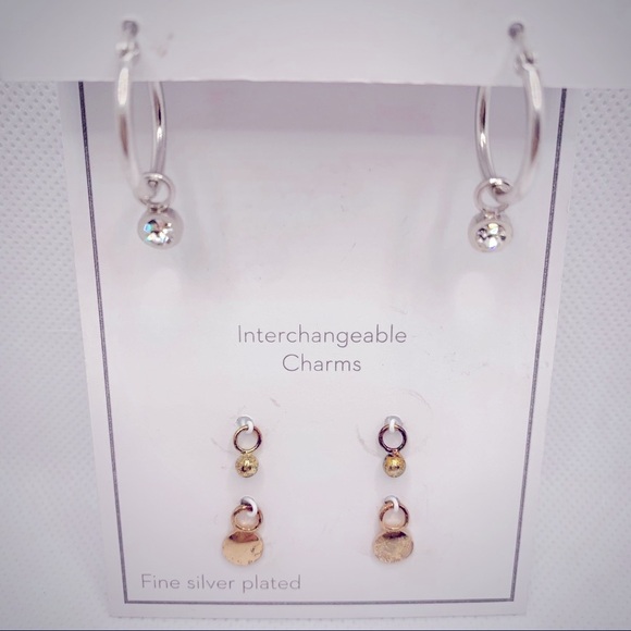 Gold and Silver Interchangeable Earrings Set with Charms - Picture 7 of 8